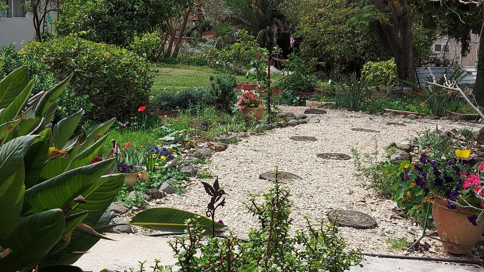 Pundak Guesthouse Ramot Esterno foto